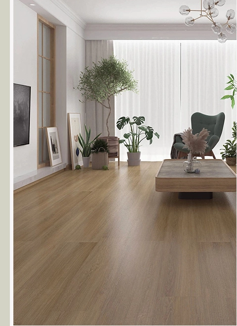 A living room with hardwood floors and plants.